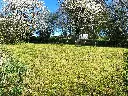 20250407_124509.webp