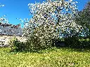 20250407_124845.webp