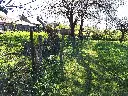20250407_124537.webp