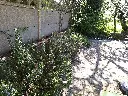 20250407_124739.webp